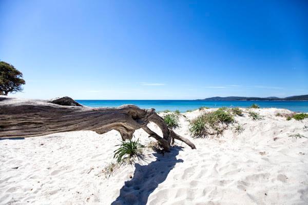 Alghero Old Town Apartment Steps To Sea And Scenic Ramparts Ngoại thất bức ảnh